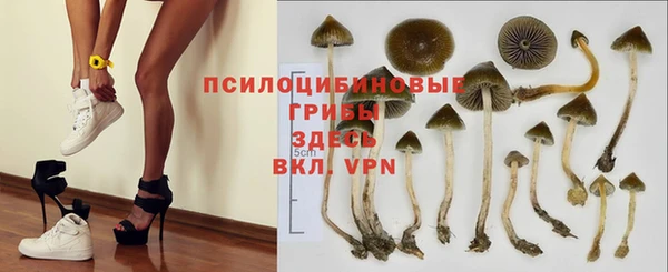 PSILOCYBIN Фёдоровский