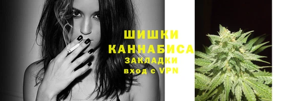 MESCALINE Нестеровская