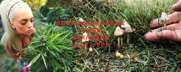 PSILOCYBIN Бронницы