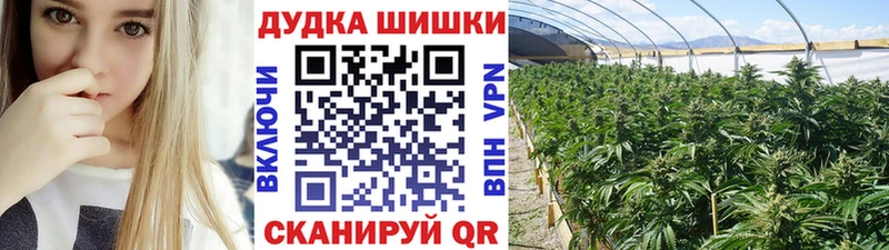 Марихуана ГИДРОПОН  блэк спрут рабочий сайт  нарко площадка состав  Богучар 